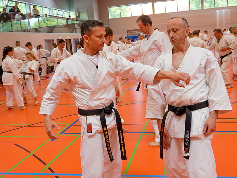 We are "Karate Nerd" approved. 3 We are “Karate Nerd” approved.3