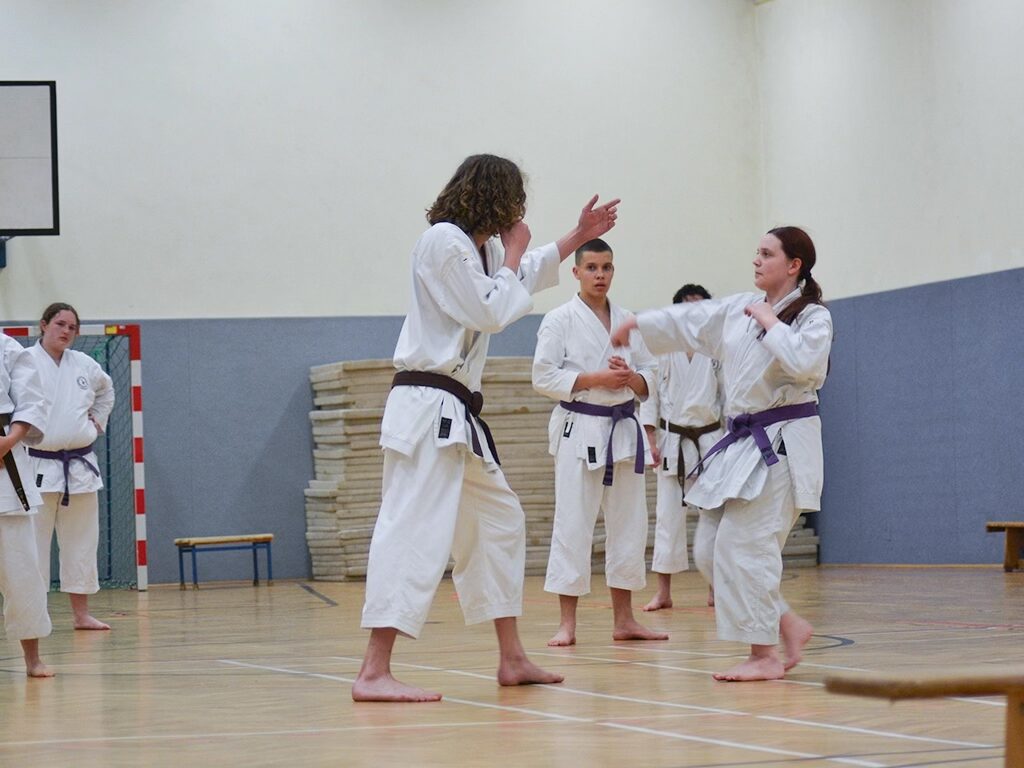 tempImageSo54pS Traditionelles Karate Strausberg e.V.