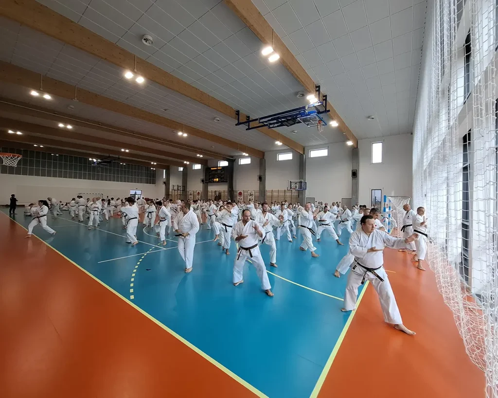 Tatsuya Naka + Kazuaki Kurihara = Power 1 naka kurihara poznan 2025 1 Traditionelles Karate Strausberg e.V.